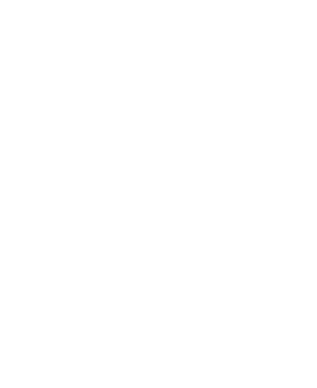 Weingut Baur Logo